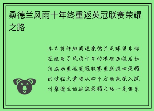 桑德兰风雨十年终重返英冠联赛荣耀之路 桑德兰风雨十年终重返英冠联赛荣耀之路